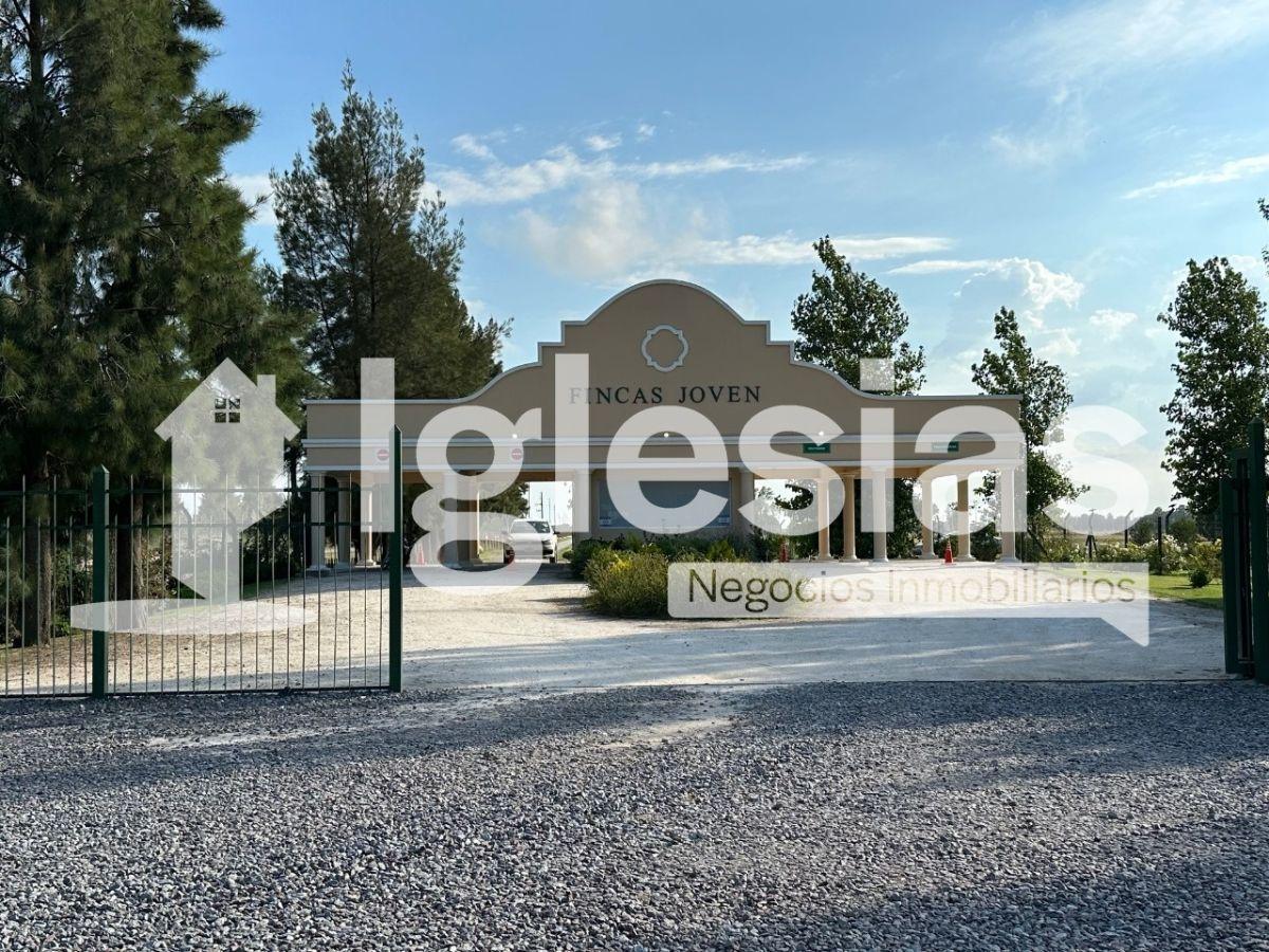 Lote en Finas Joven, San Vicente