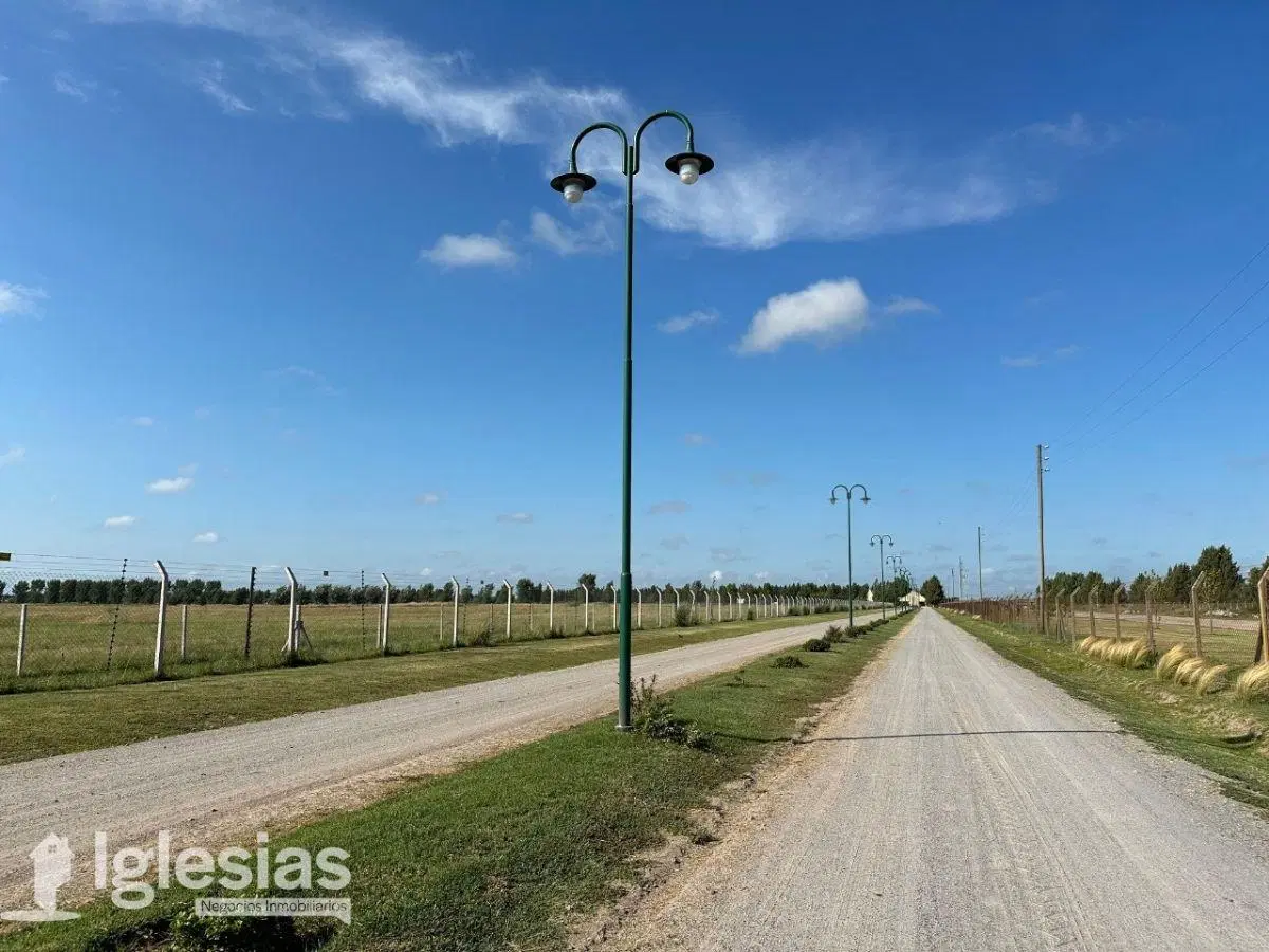 Lote en Finas Joven, San Vicente 2