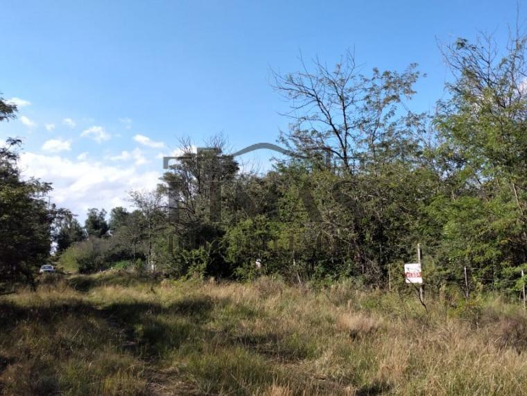 2 Terrenos Colindantes de 712 m² c/u en Venta 3
