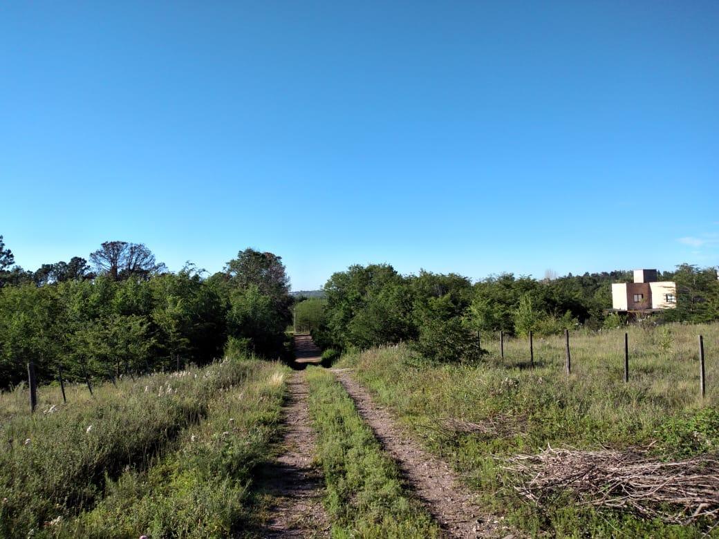 Foto de Los Reartes- Terrenos de 388m2 con excelente vista a las Sierras, imagen 5
