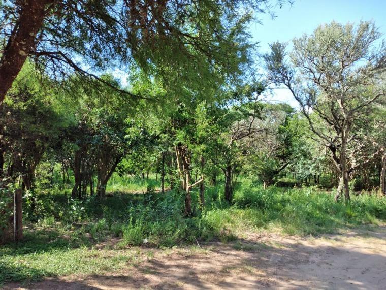 Se Vende Hermoso Terreno de 778 m² Muy Próximo a Ruta 5 2