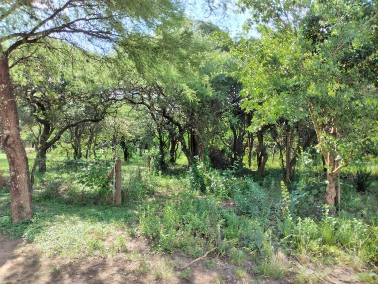 Se Vende Hermoso Terreno de 778 m² Muy Próximo a Ruta 5 3