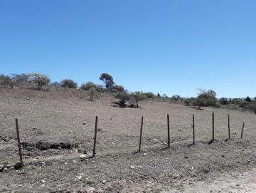 Foto de Fracción de 8.3 hectáreas, imagen 2