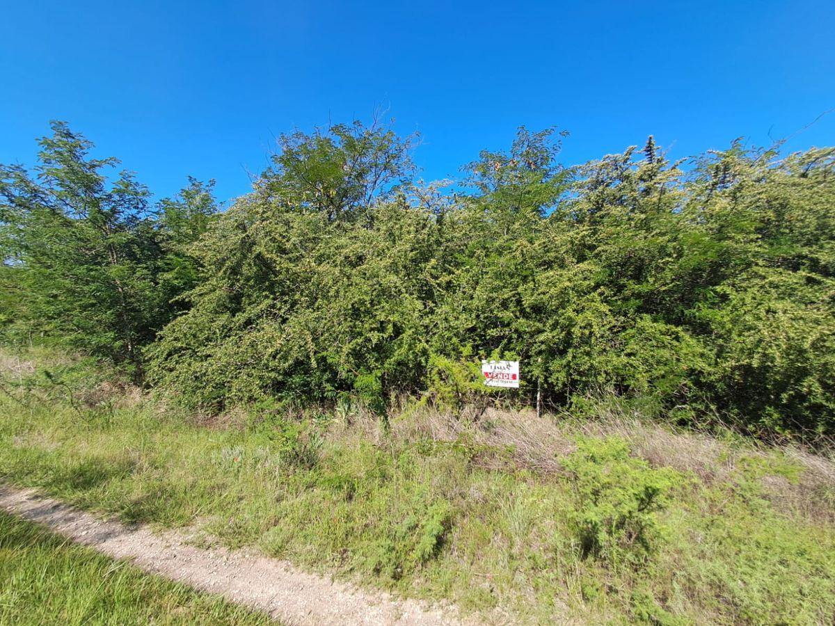 Foto de Terreno 712m2 Oportunidad !!!, imagen 5