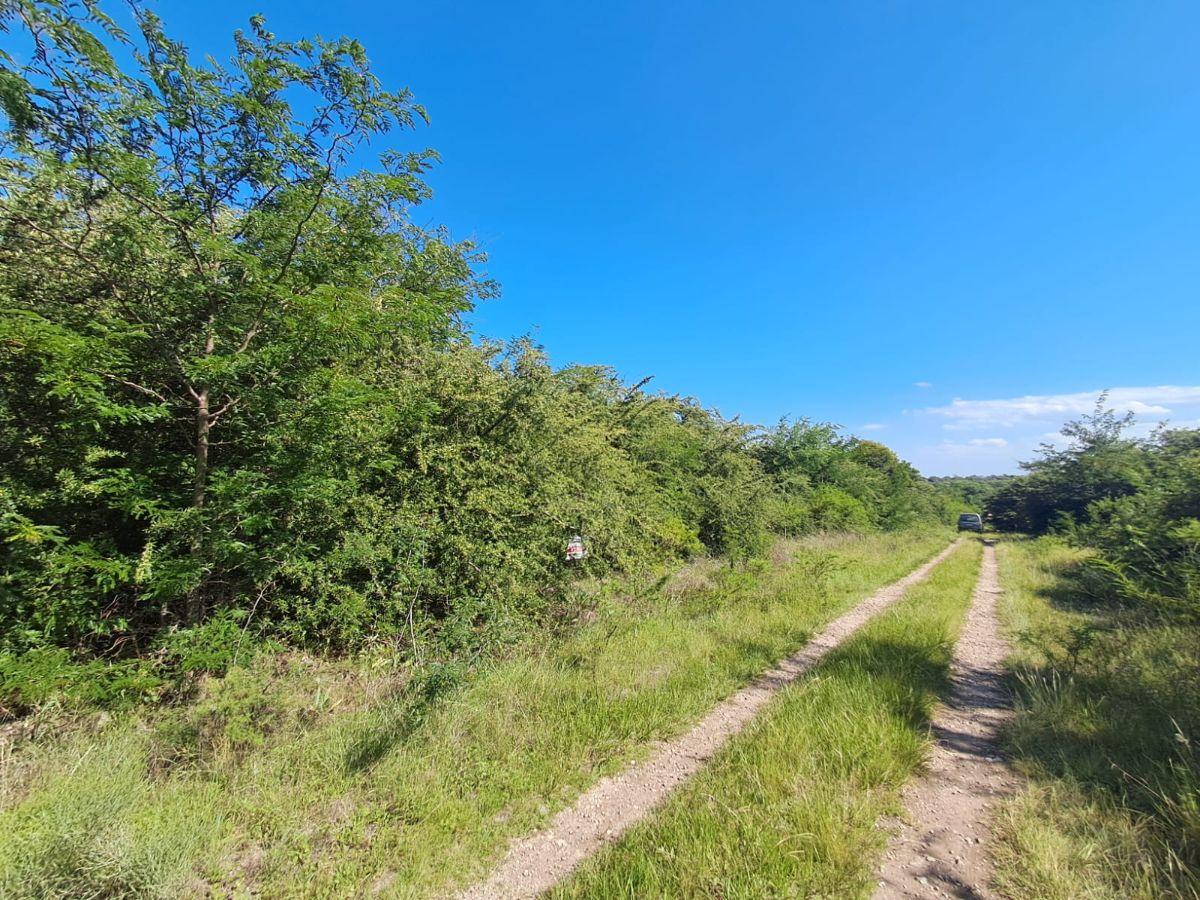 Foto de Terreno 712m2 Oportunidad !!!, imagen 4