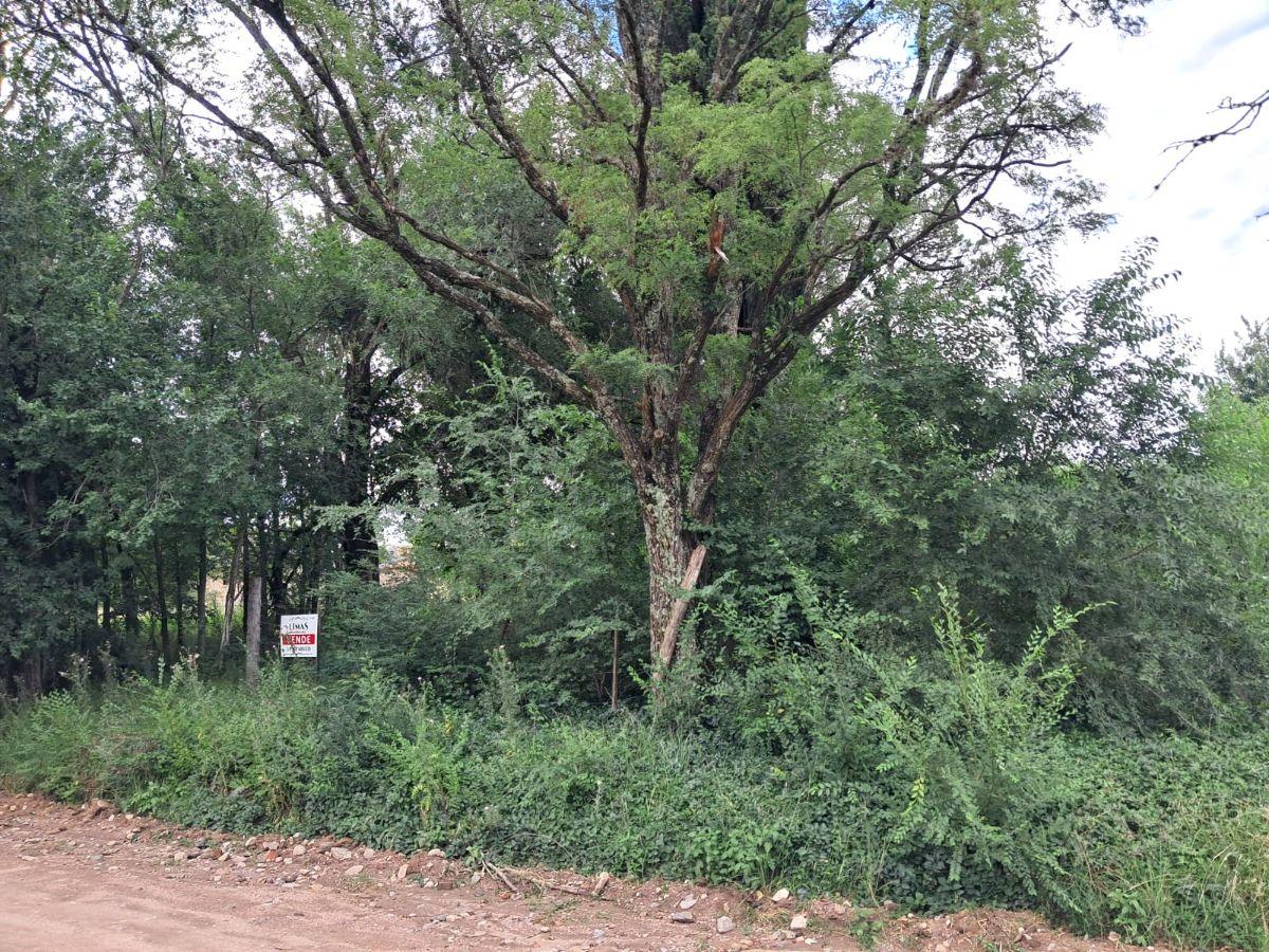 Terreno 500m2 a 2½ cuadras del río