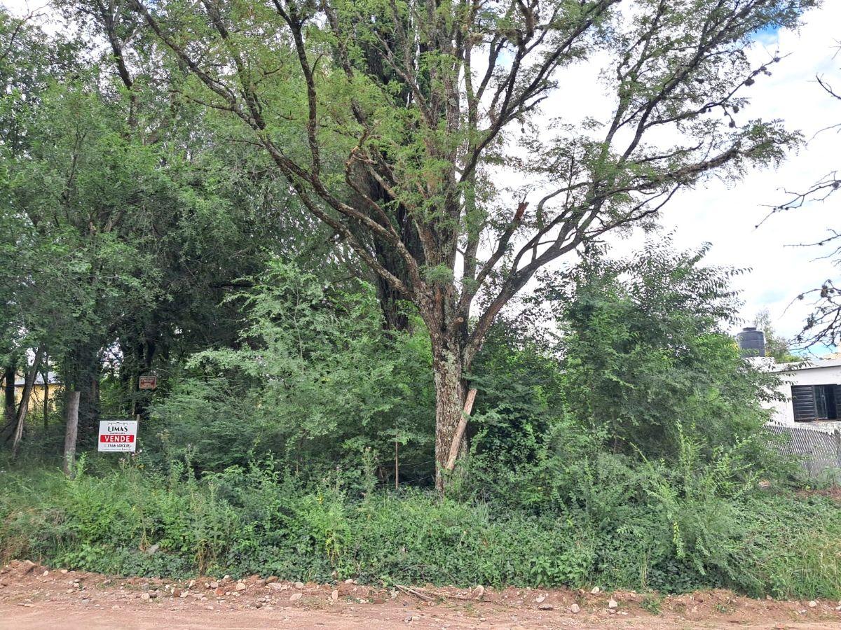Foto de Terreno 500m2 a 2½ cuadras del río, imagen 2