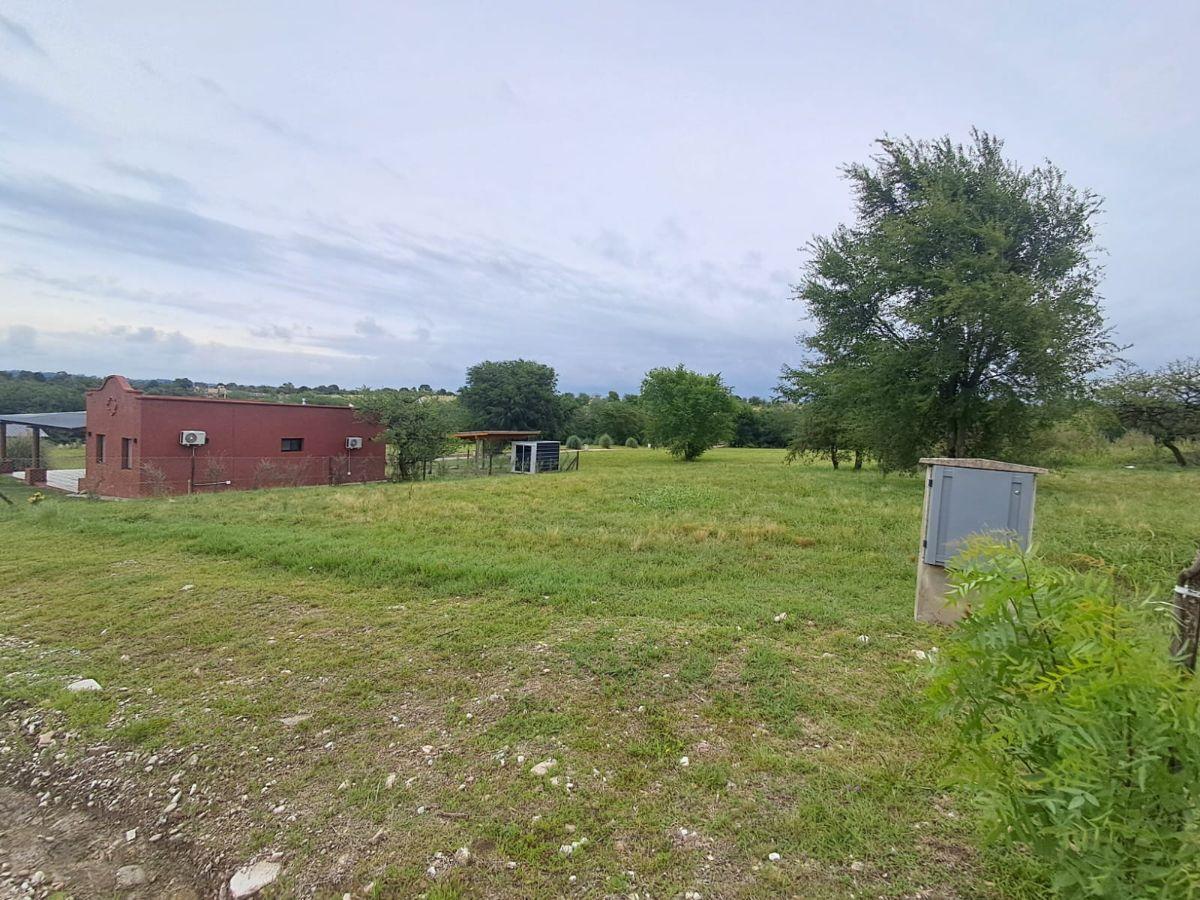 Foto de Alto Los Reartes, terreno 300m2 con vista a las sierras, imagen 3