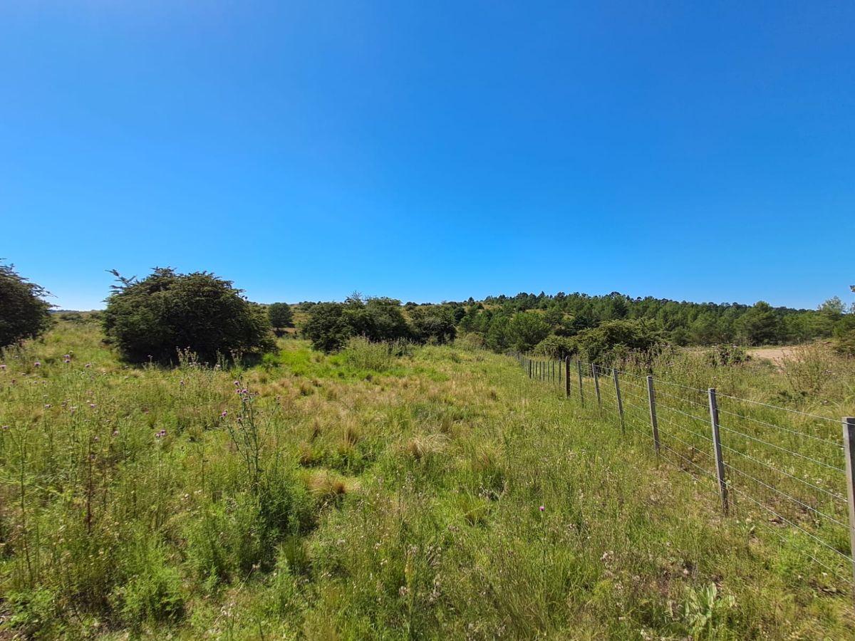Terreno de 1.96 hectáreas en Villa Berna