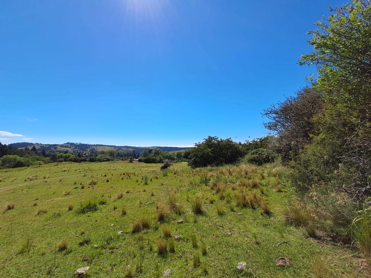 Foto de Terreno de 2.38 hectáreas en Villa Berna, imagen 5
