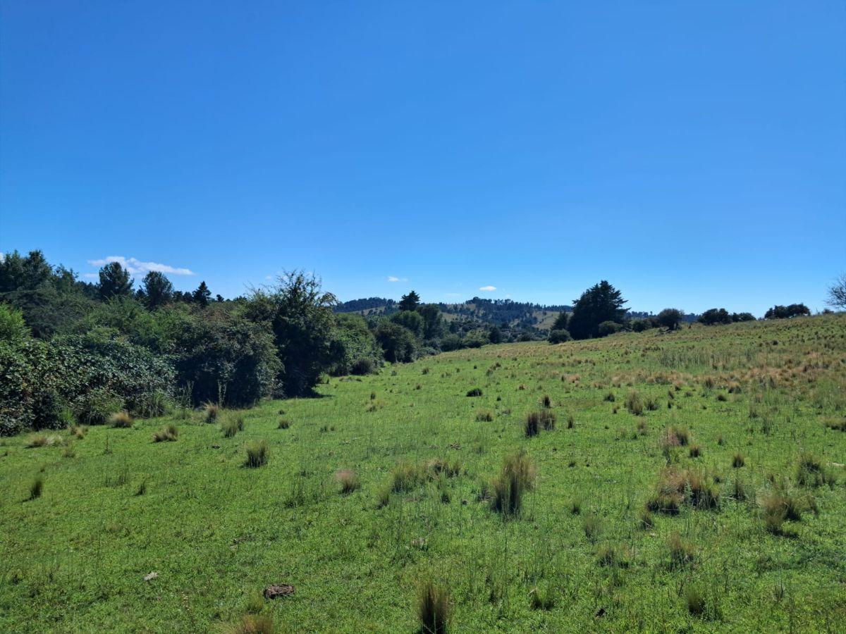 Foto de Terreno de 2.38 hectáreas en Villa Berna, imagen 4