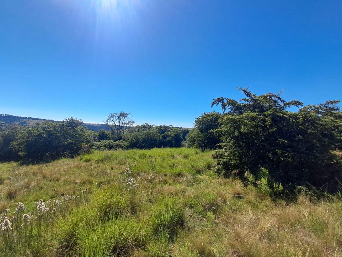 Foto de Terreno de 3.88 hectáreas en Villa Berna, imagen 1