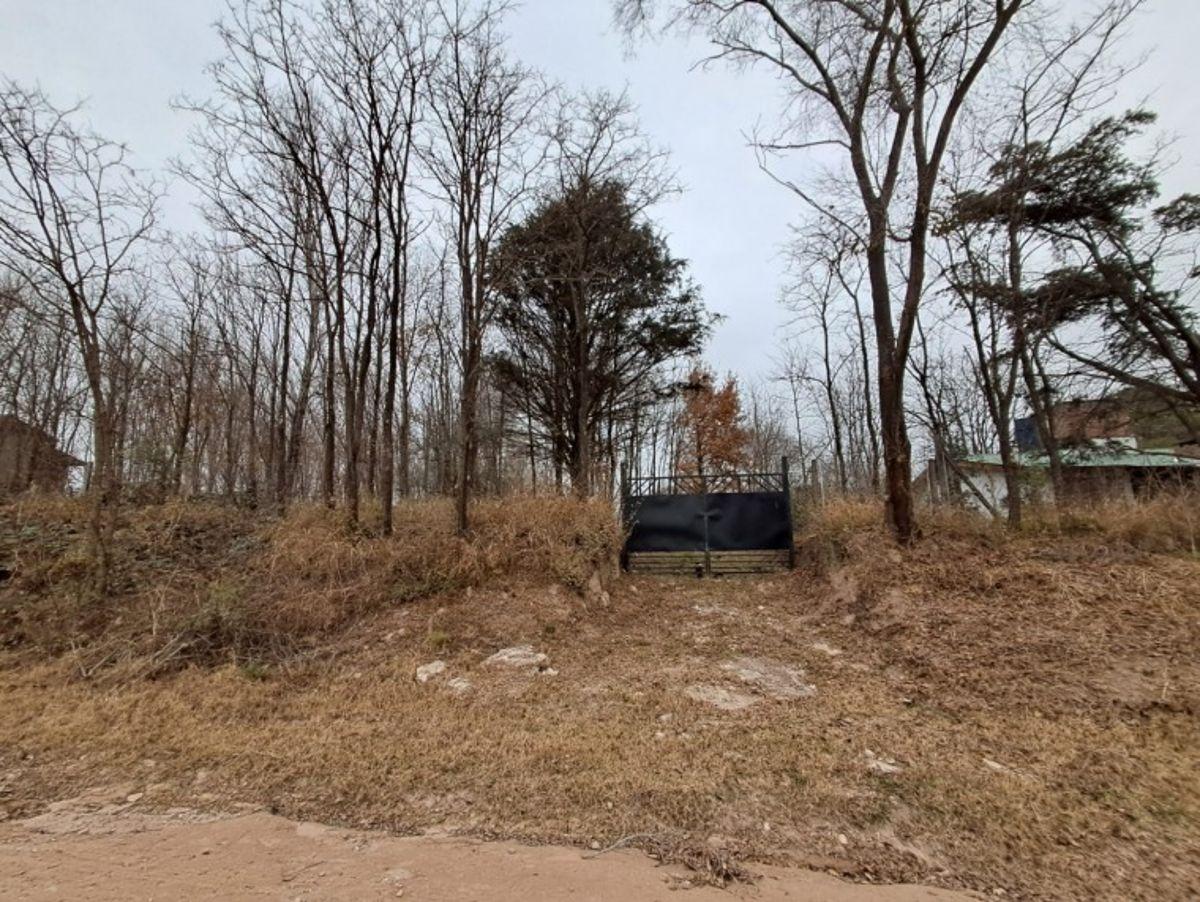 Foto de Los Reartes a metros del río. terreno 1.053m2, imagen 1