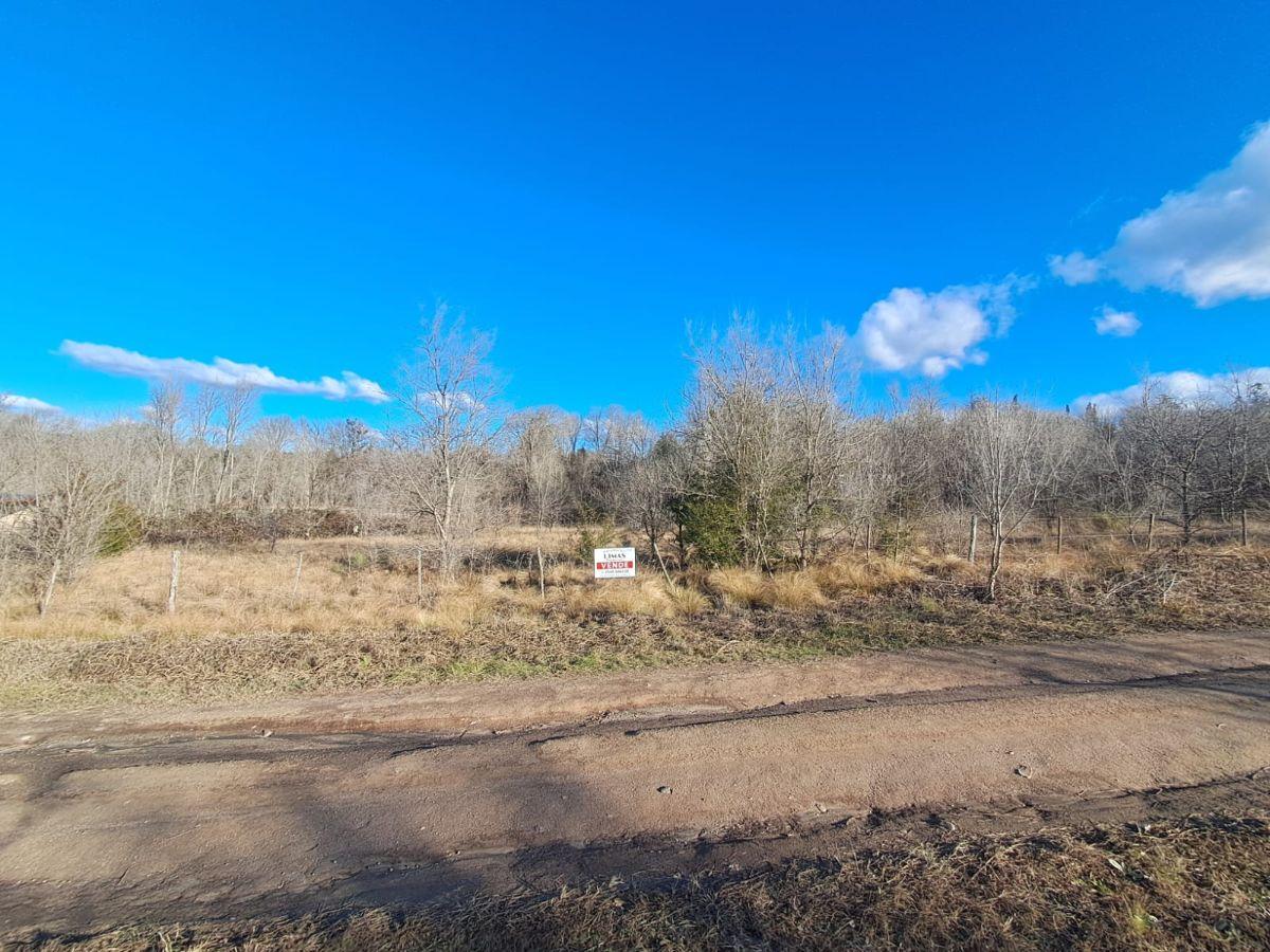 Foto de Hermoso terreno de 510M2 a metros del río., imagen 4