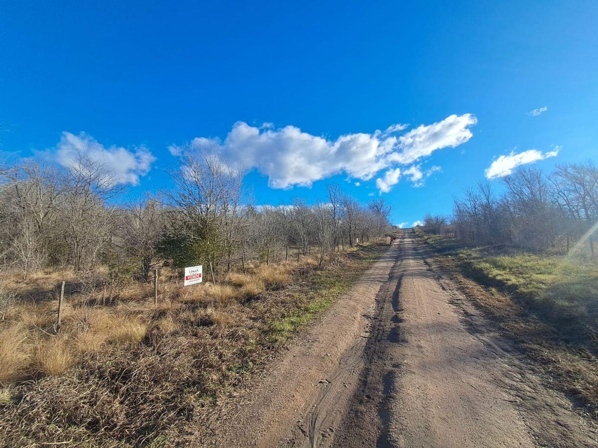 Foto de Hermoso terreno de 510M2 a metros del río., imagen 3