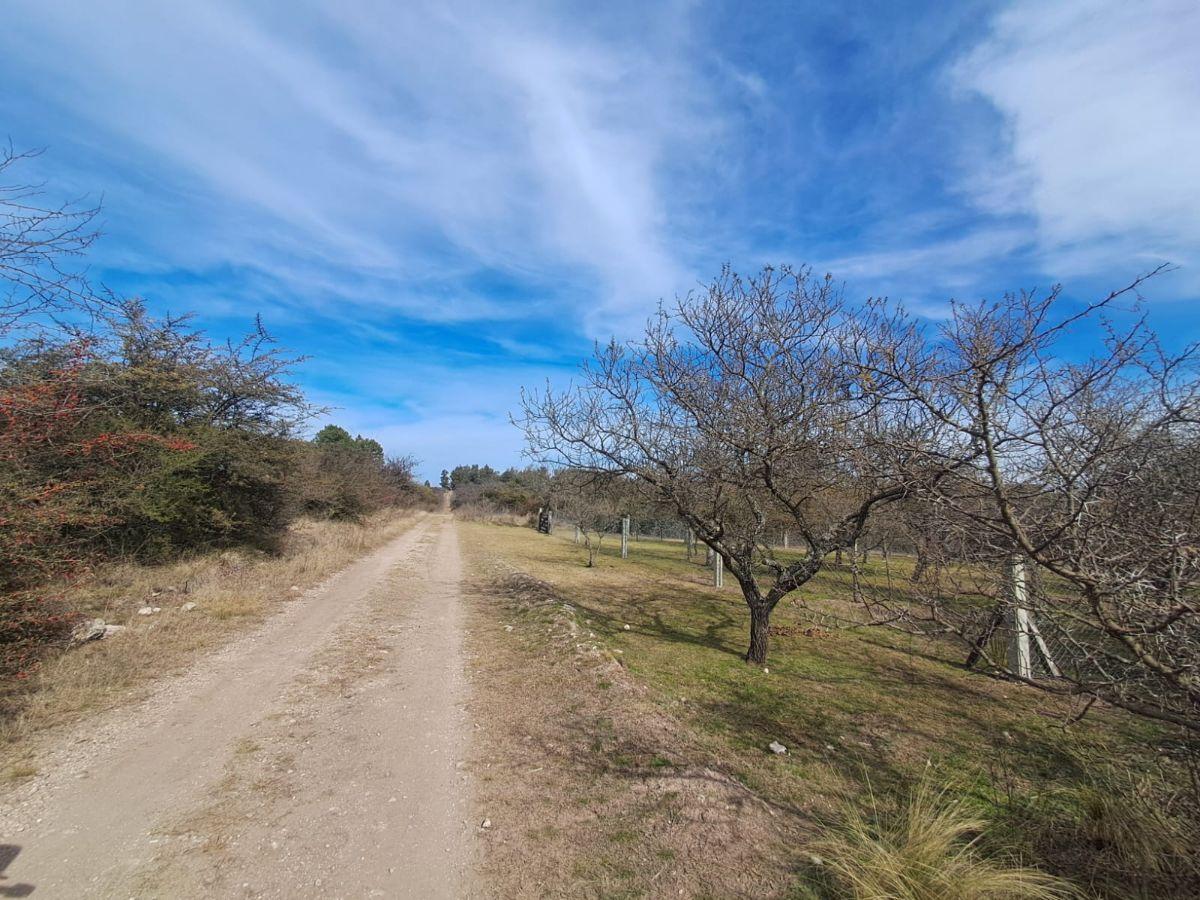 Foto de Capilla Vieja, Los Reartes. Terreno de 675m2., imagen 5