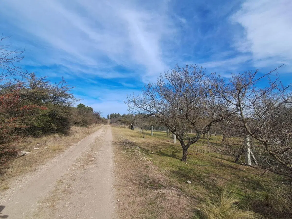 Capilla Vieja, Los Reartes. Terreno de 675m2. 5