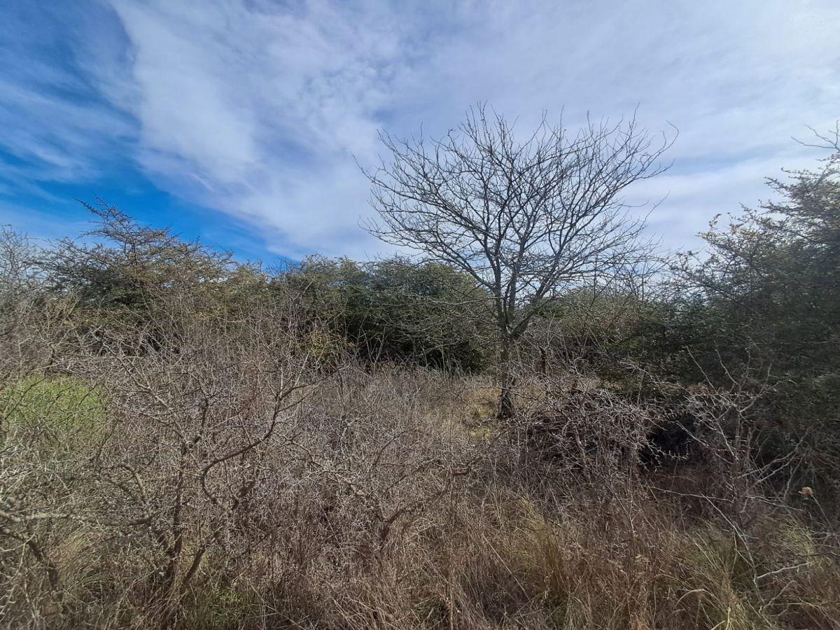 Foto de Capilla Vieja, Los Reartes. Terreno de 675m2., imagen 2