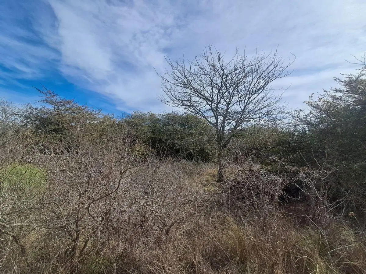 Capilla Vieja, Los Reartes. Terreno de 675m2. 2