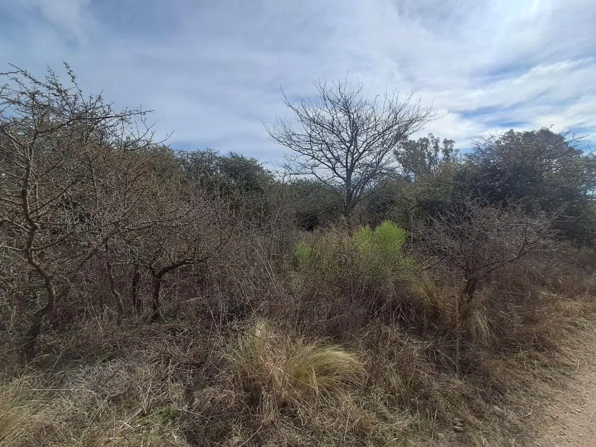 Capilla Vieja, Los Reartes. Terreno de 675m2. 6