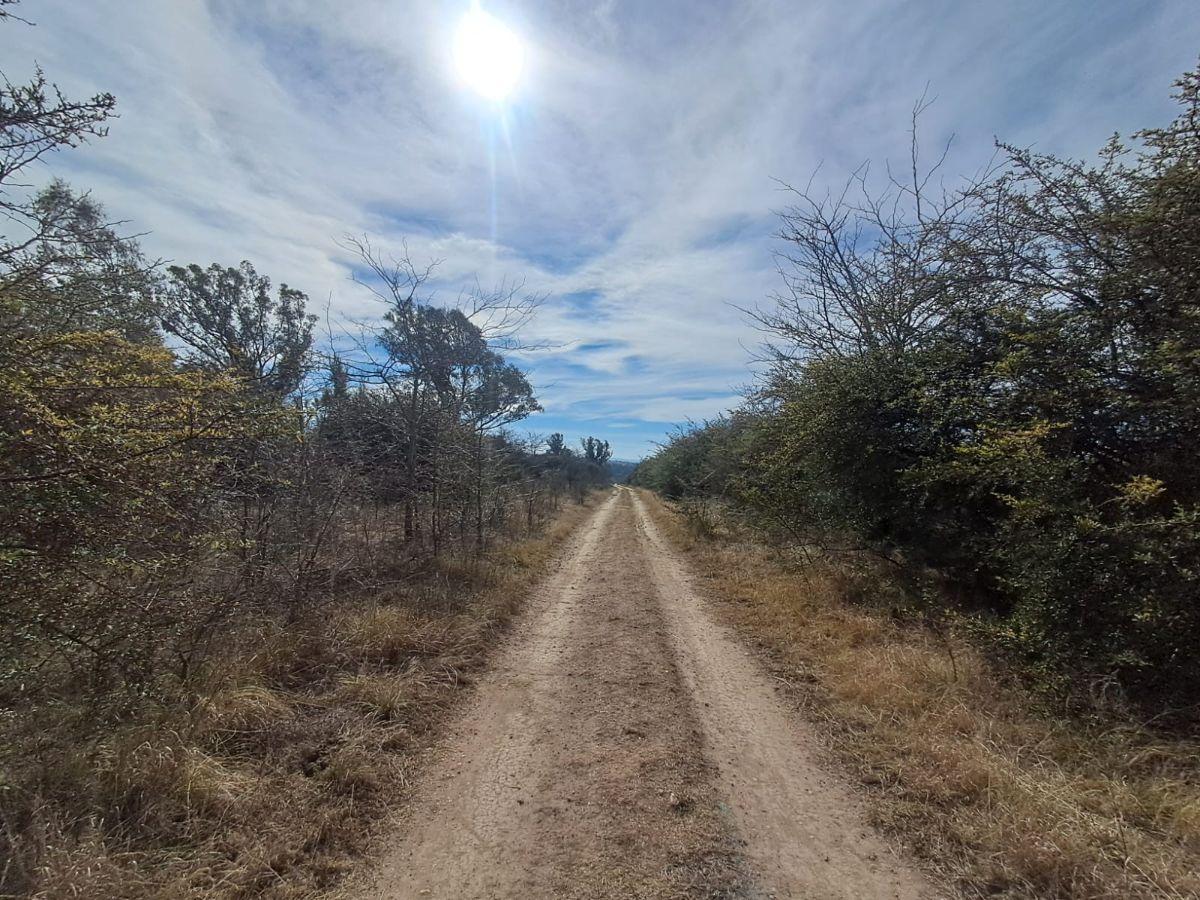 Foto de Capilla Vieja, Los Reartes. Terreno de 675m2., imagen 1