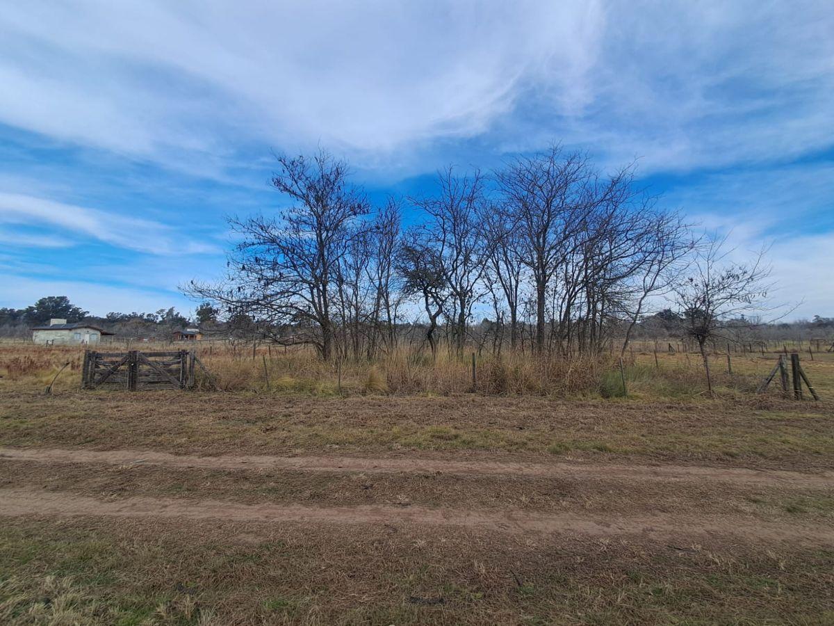 Foto de Loteo La Florida, Villa Ciudad Parque. Terreno de 818m2., imagen 1