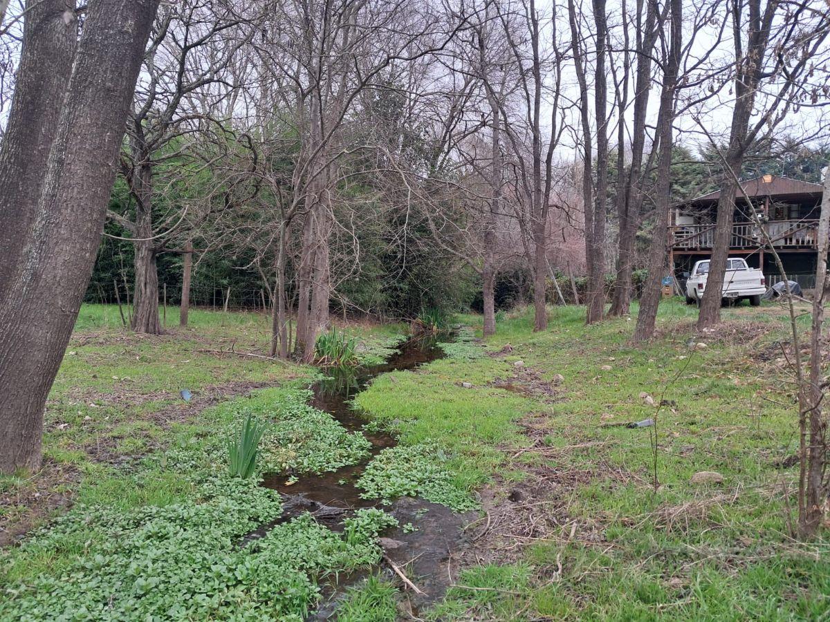 Foto de Terreno de 600 m2, Los Reartes., imagen 2