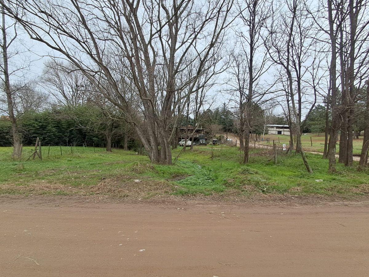 Foto de Terreno de 600 m2, Los Reartes., imagen 1
