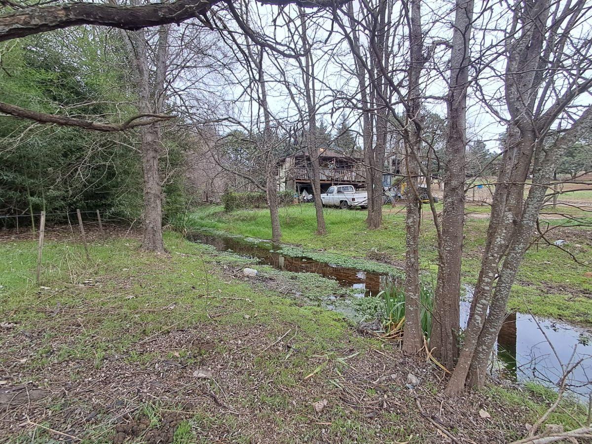 Foto de Terreno de 600 m2, Los Reartes., imagen 5