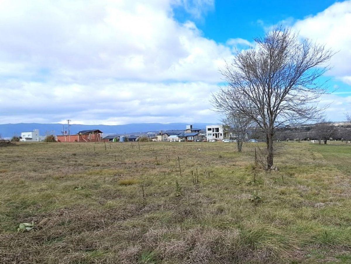 Foto de Terreno en venta de 500 m² — Altos Los Reartes, imagen 5