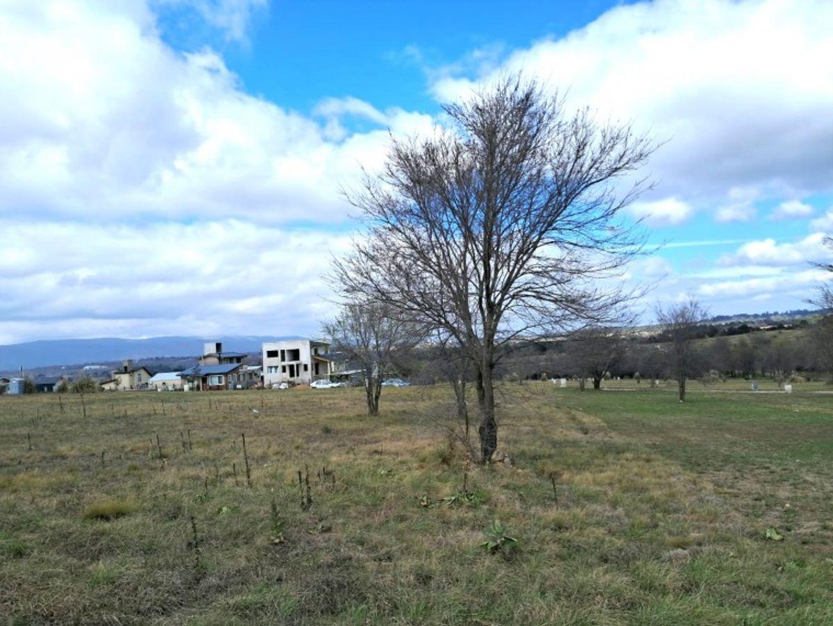 Foto de Terreno en venta de 500 m² — Altos Los Reartes, imagen 3