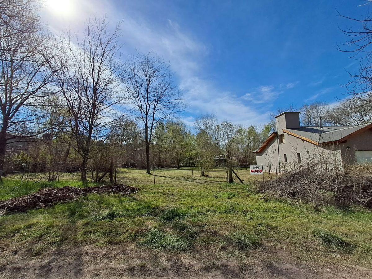 Foto de Dos terrenos en venta a metros del río, imagen 2