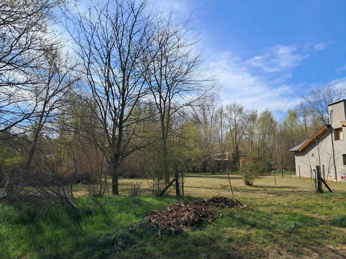 Foto de Dos terrenos en venta a metros del río, imagen 5
