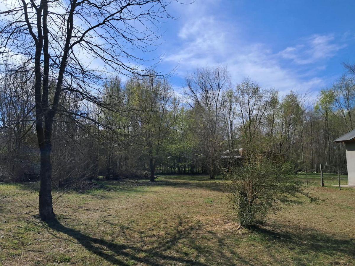 Foto de Dos terrenos en venta a metros del río, imagen 1