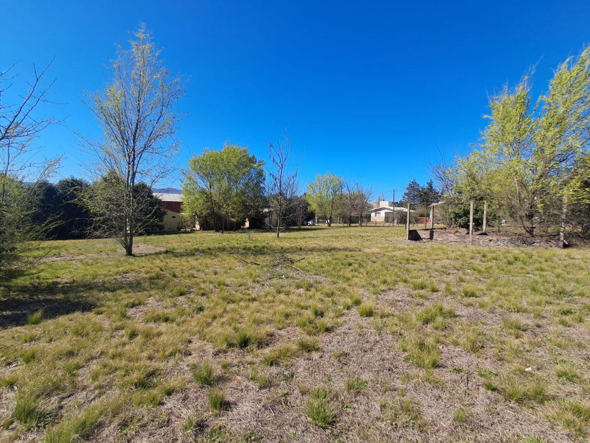 Foto de 3 hermosos terrenos de 500m2 cada uno. Los Reartes., imagen 2