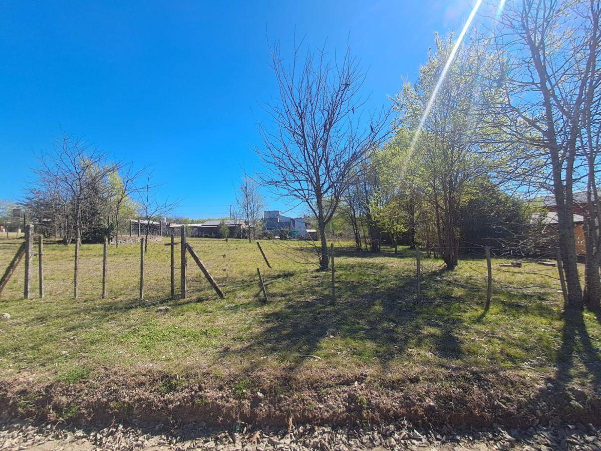 Foto de 3 hermosos terrenos de 500m2 cada uno. Los Reartes., imagen 1