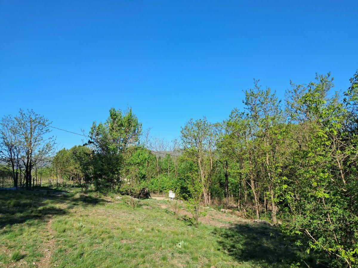 Foto de Terreno de 709m2. Los Reartes., imagen 2