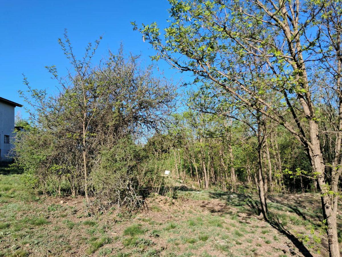 Foto de Terreno de 709m2. Los Reartes., imagen 3