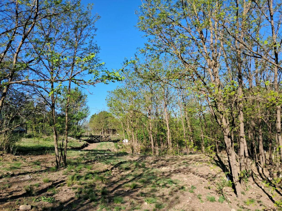 Foto de Terreno de 709m2. Los Reartes., imagen 4