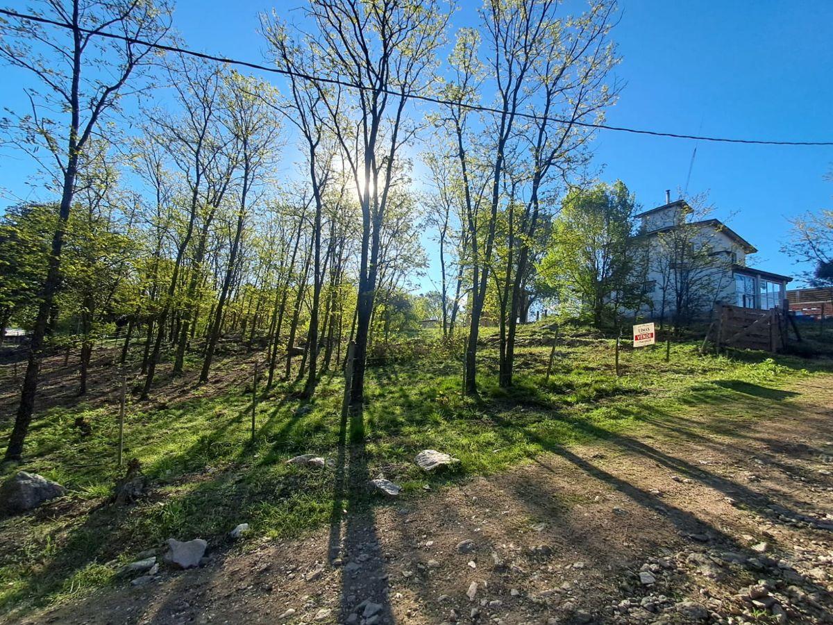 Foto de Terreno de 709m2. Los Reartes., imagen 5