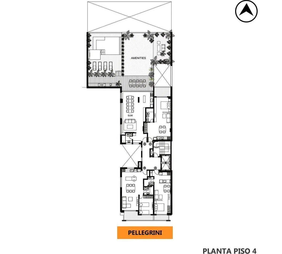 Plano 5