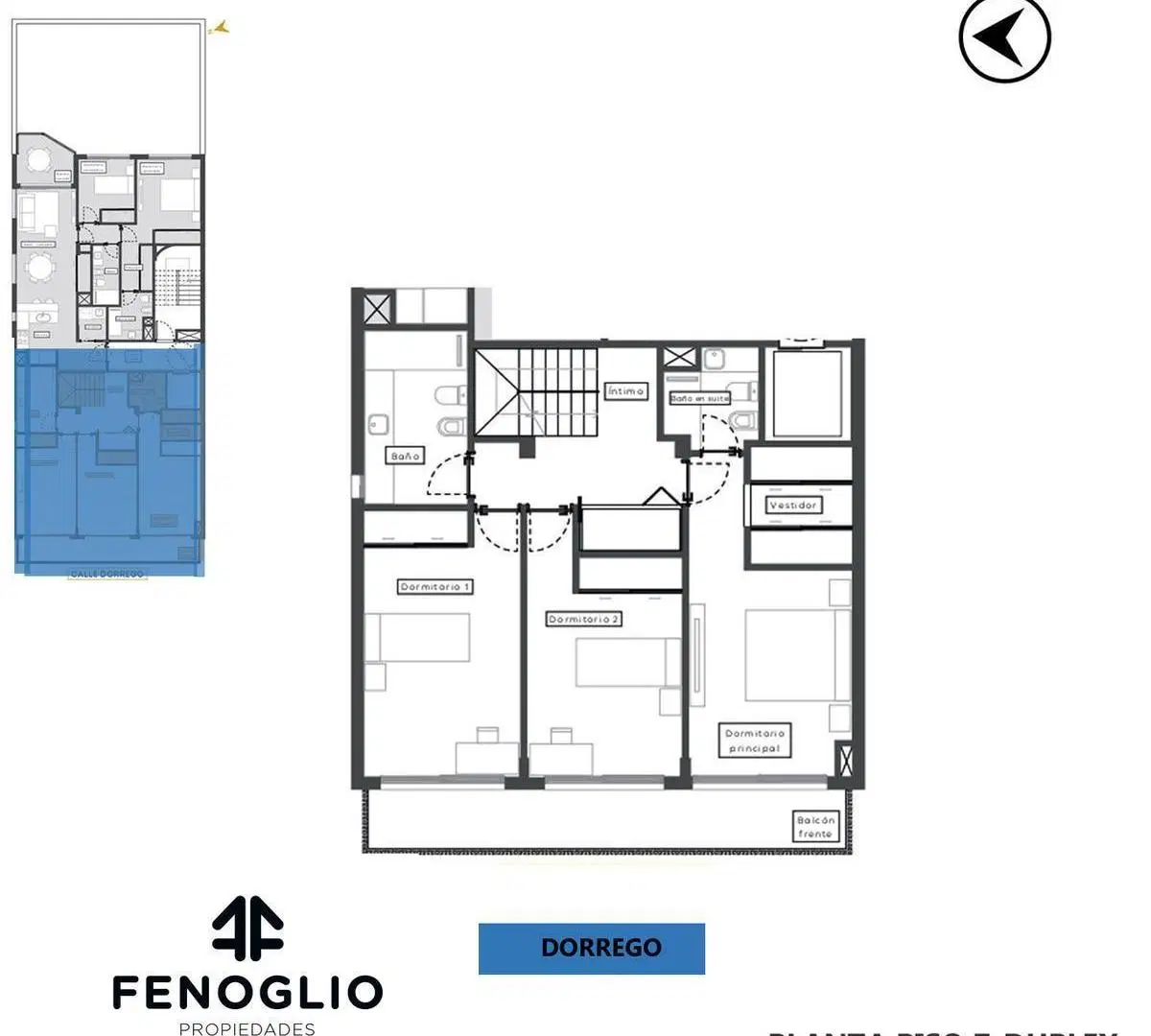 Plano 6