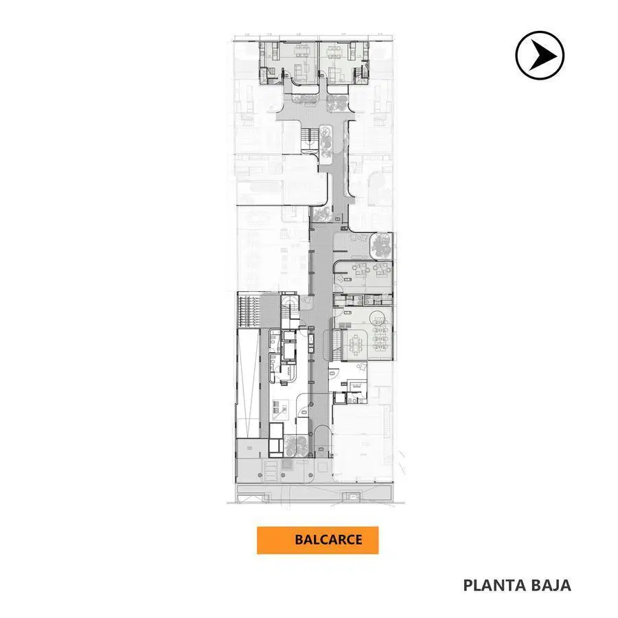 Plano 5