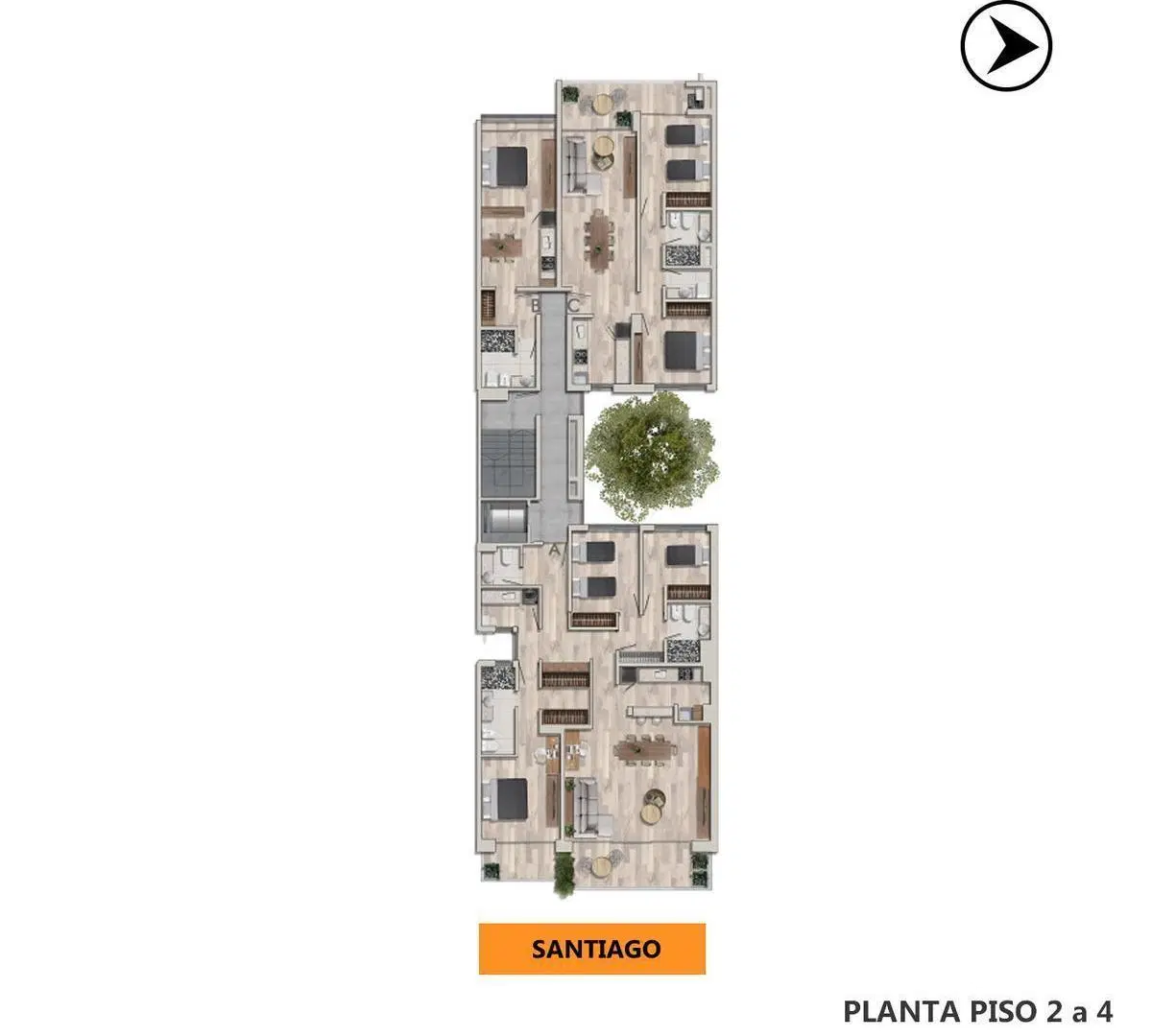 Plano 8