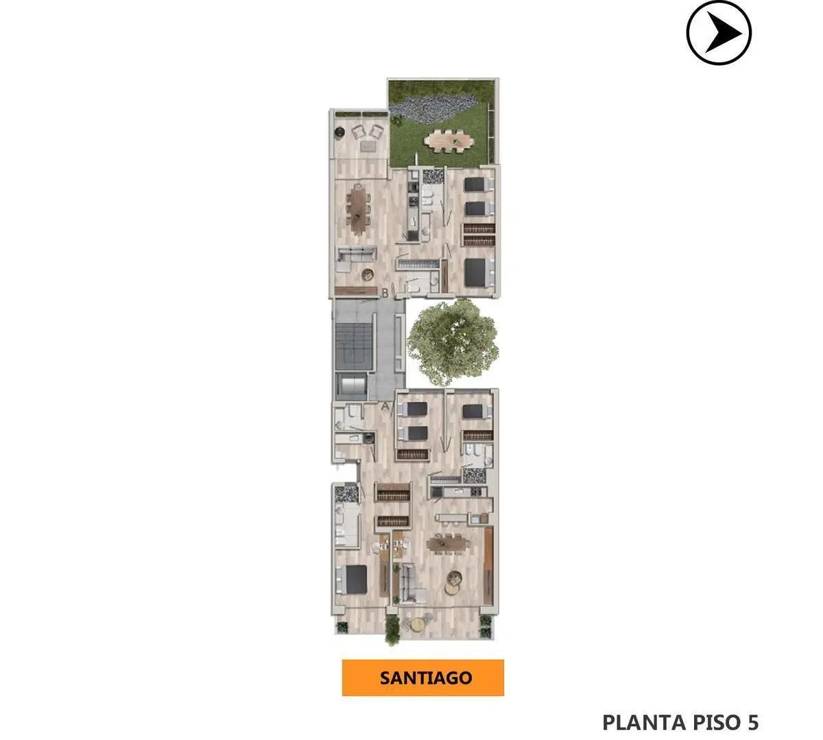 Plano 6
