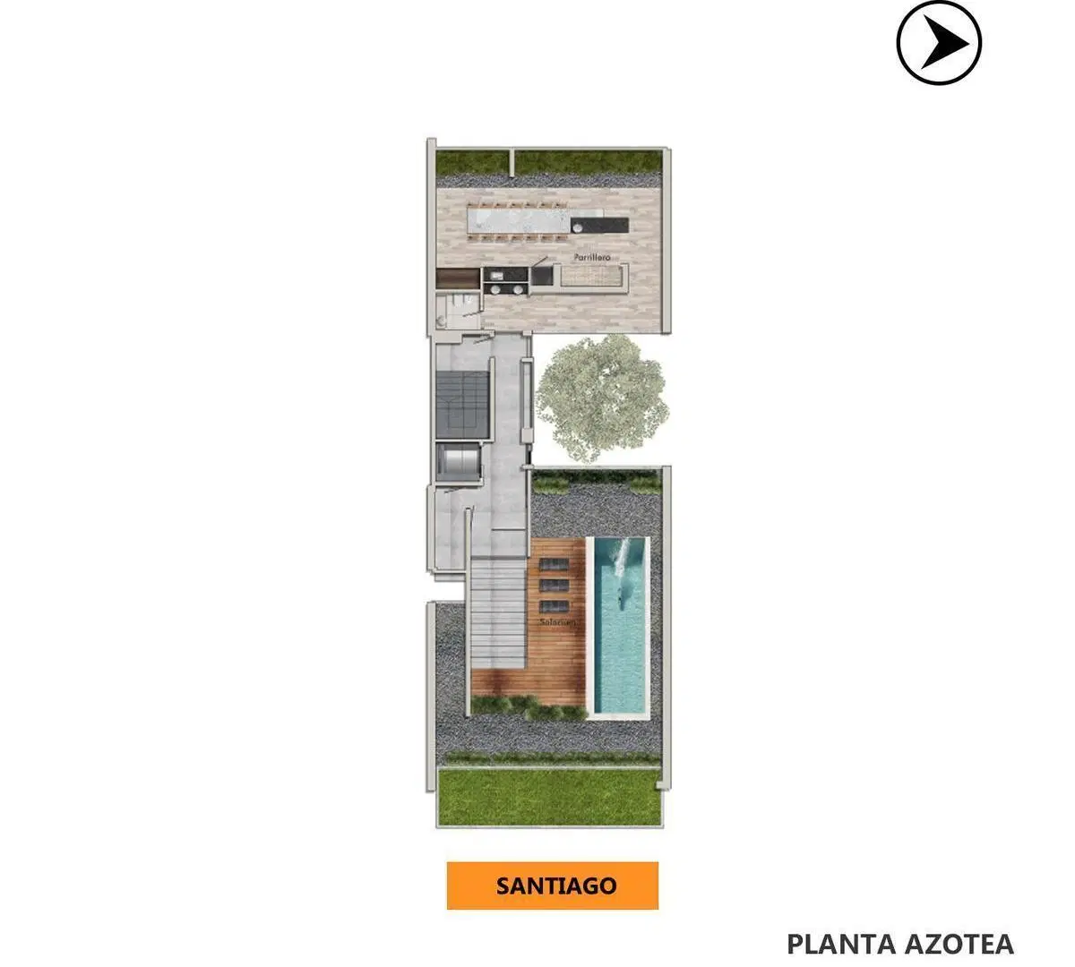 Plano 6