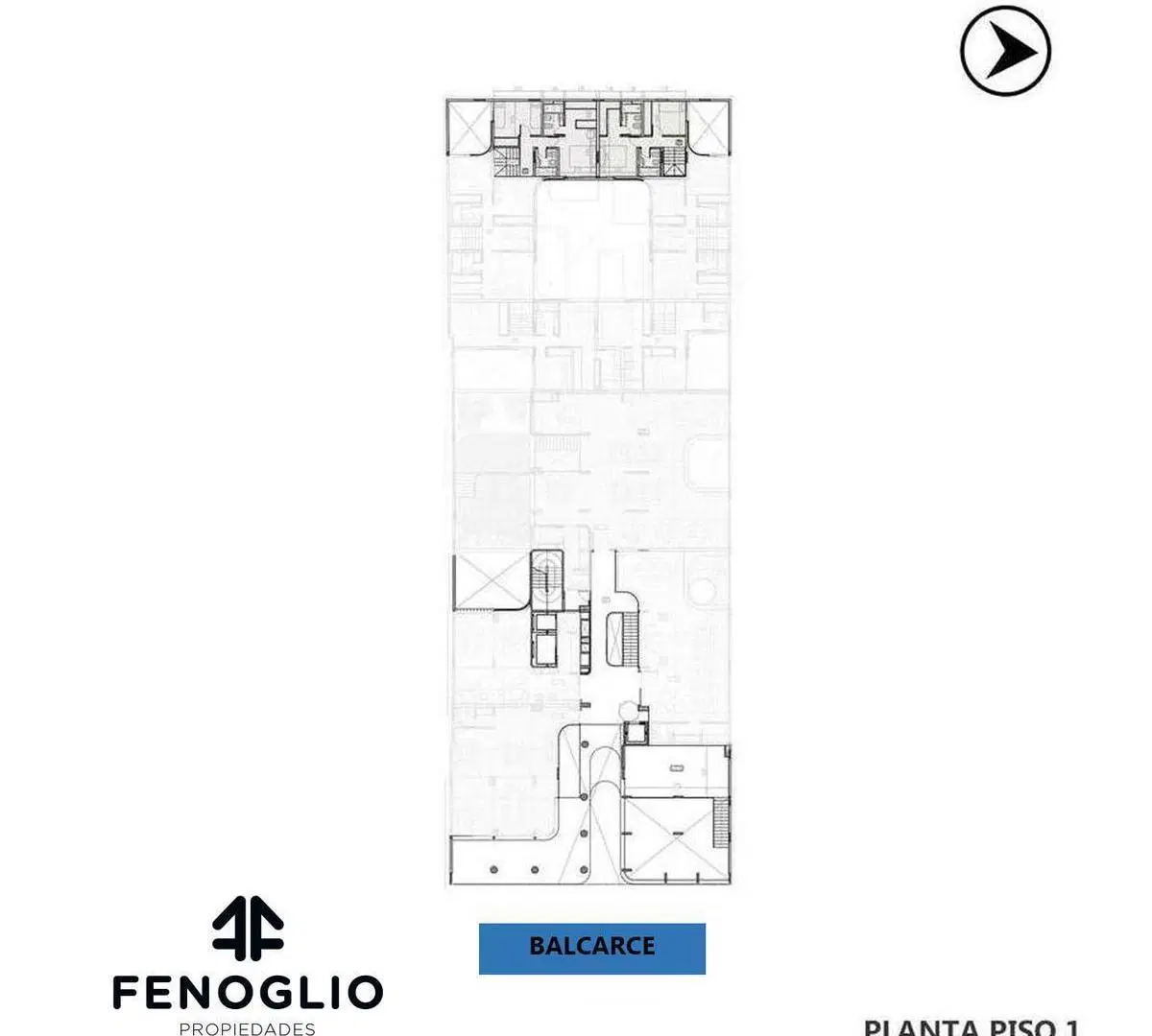 Plano 6