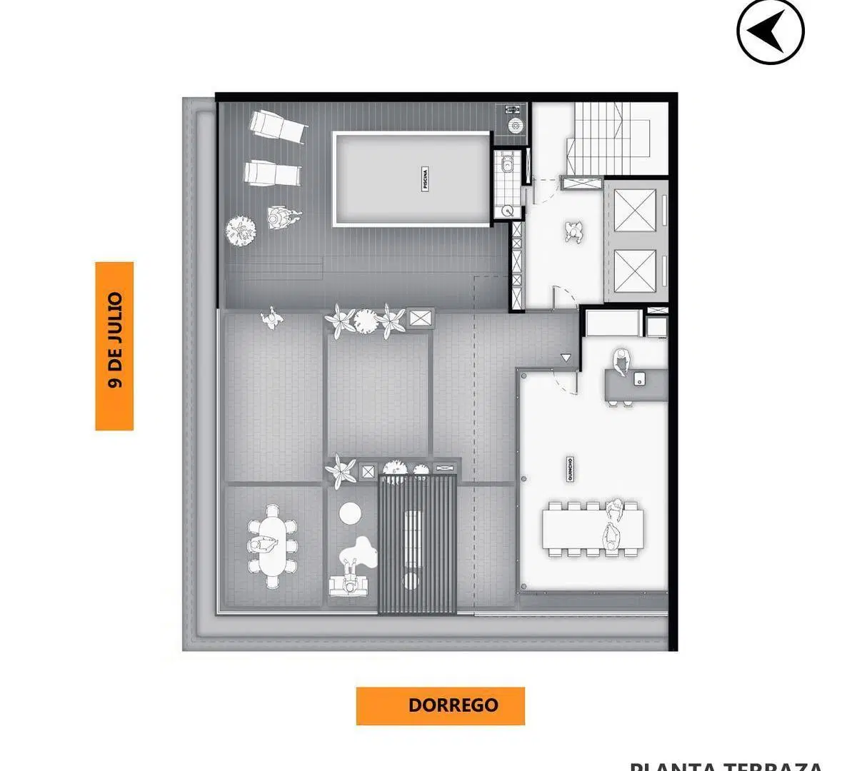 Plano 6