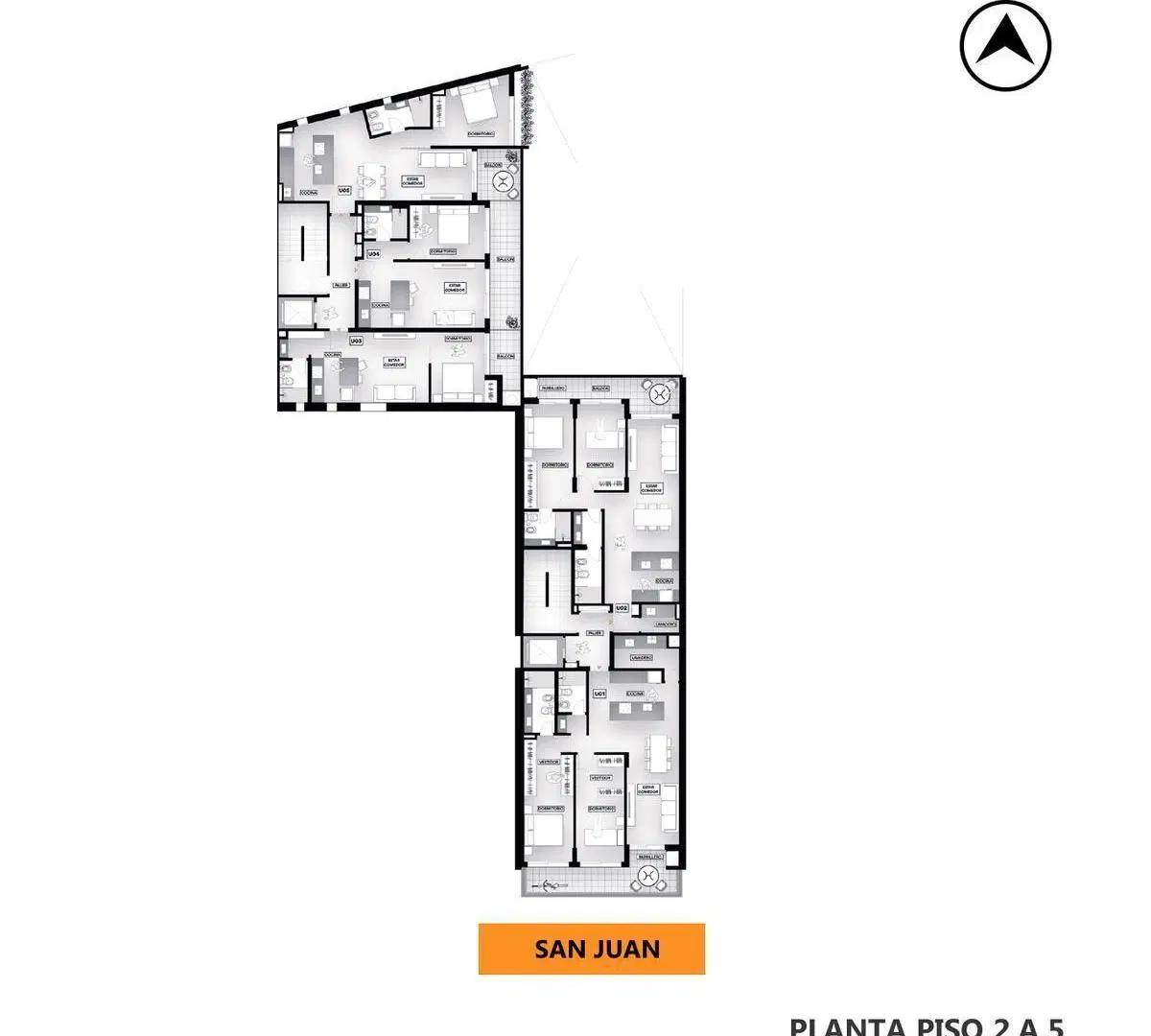 Plano 6