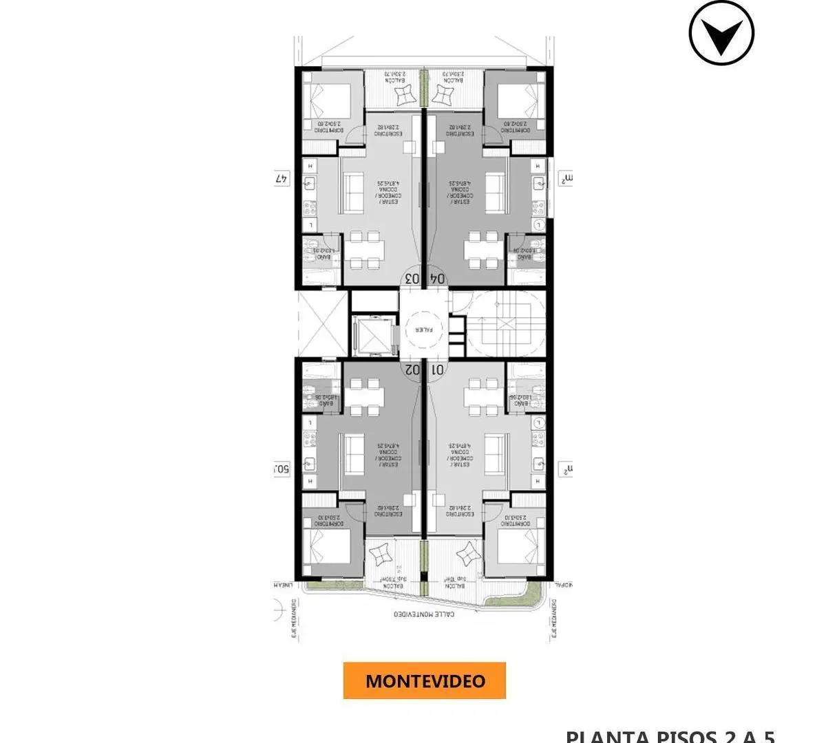 Plano 6